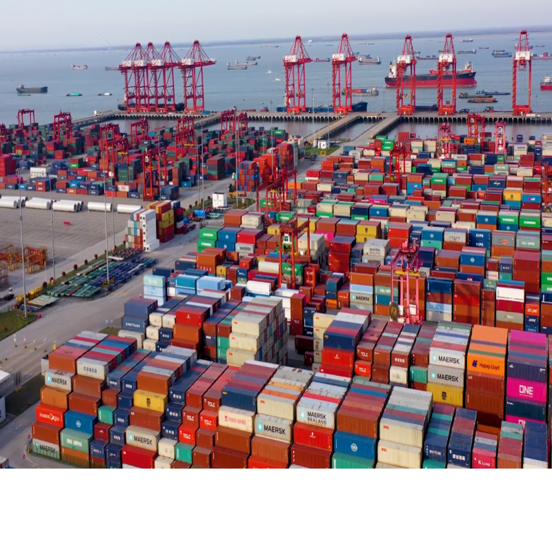 international ocean shipping 